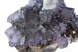Cubic Fluorite Crystals on Sphalerite - Elmwood Mine #71944-3